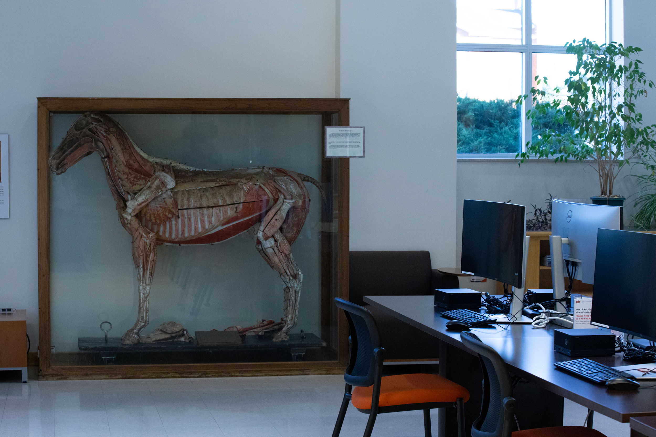 Veterinary Medicine Library