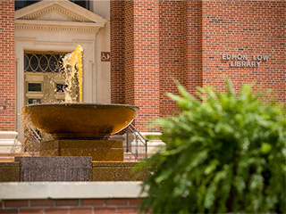 Image: The OSU Library for Faculty and Staff